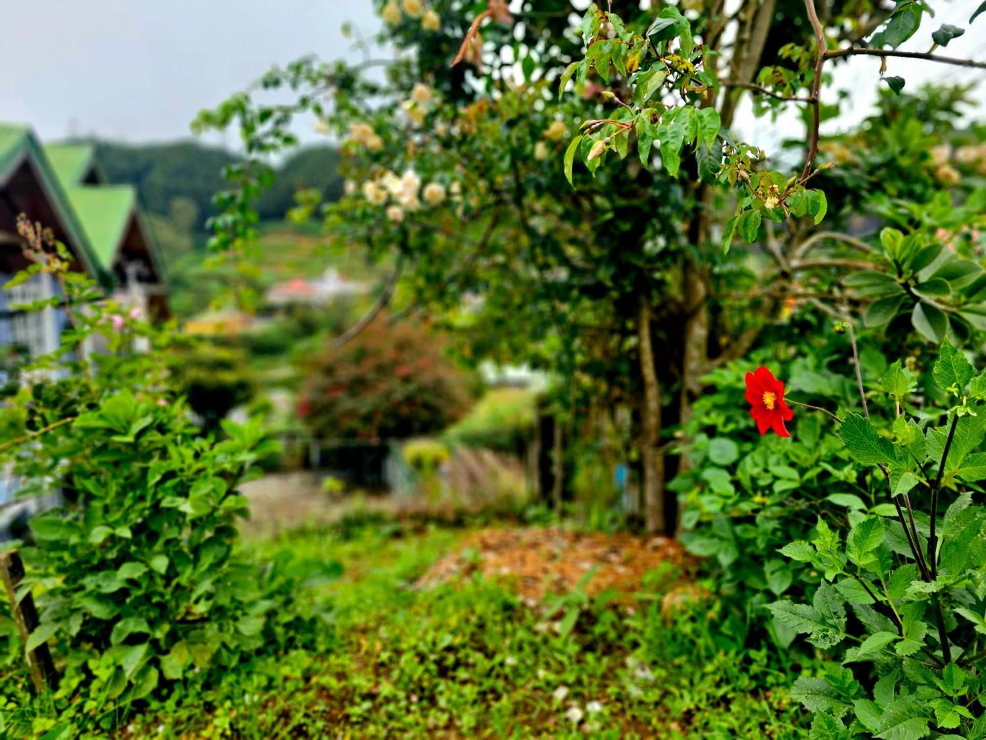 Haven Backpackers Nuwara Eliya Exterior foto