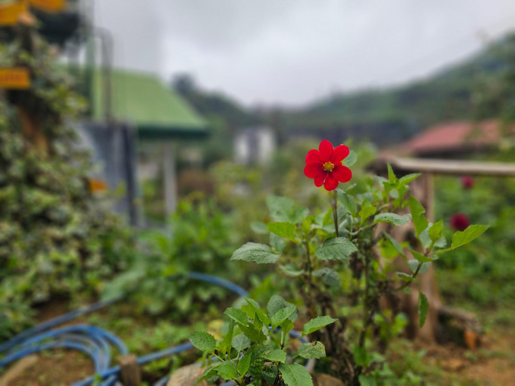 Haven Backpackers Nuwara Eliya Exterior foto