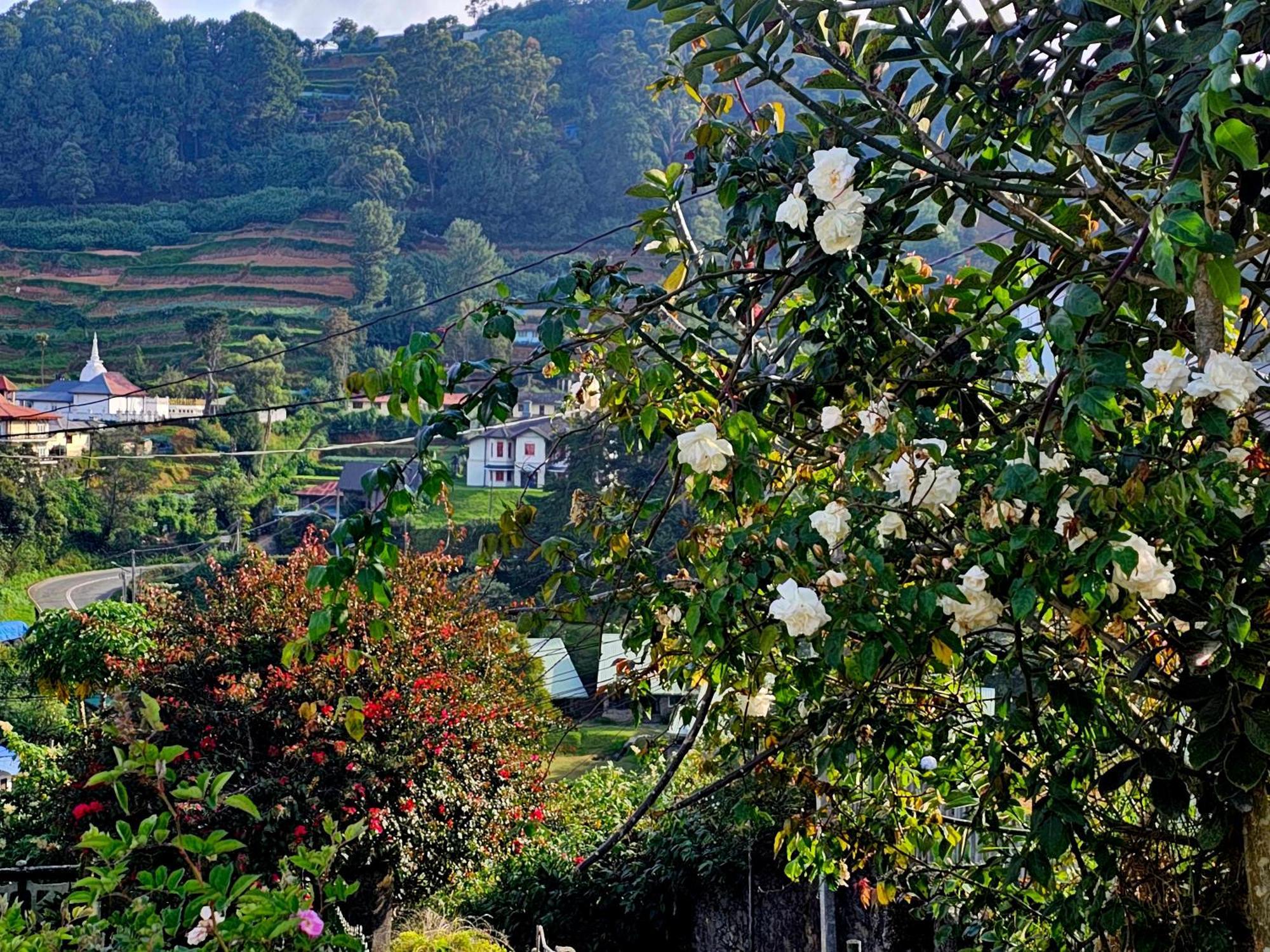 Haven Backpackers Nuwara Eliya Exterior foto